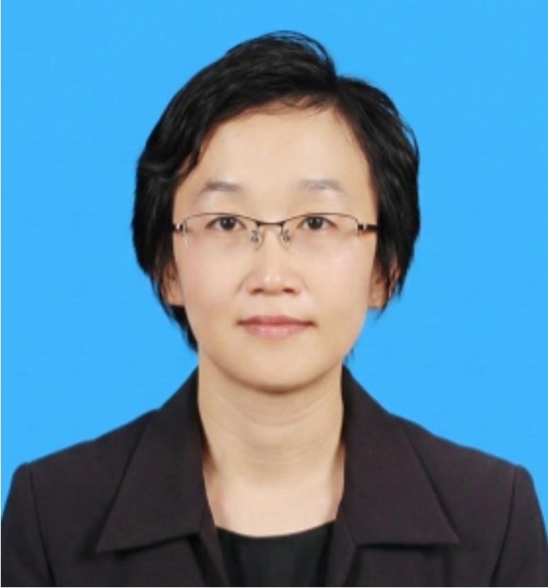 Prof. Dr. Lee Chew Tin
