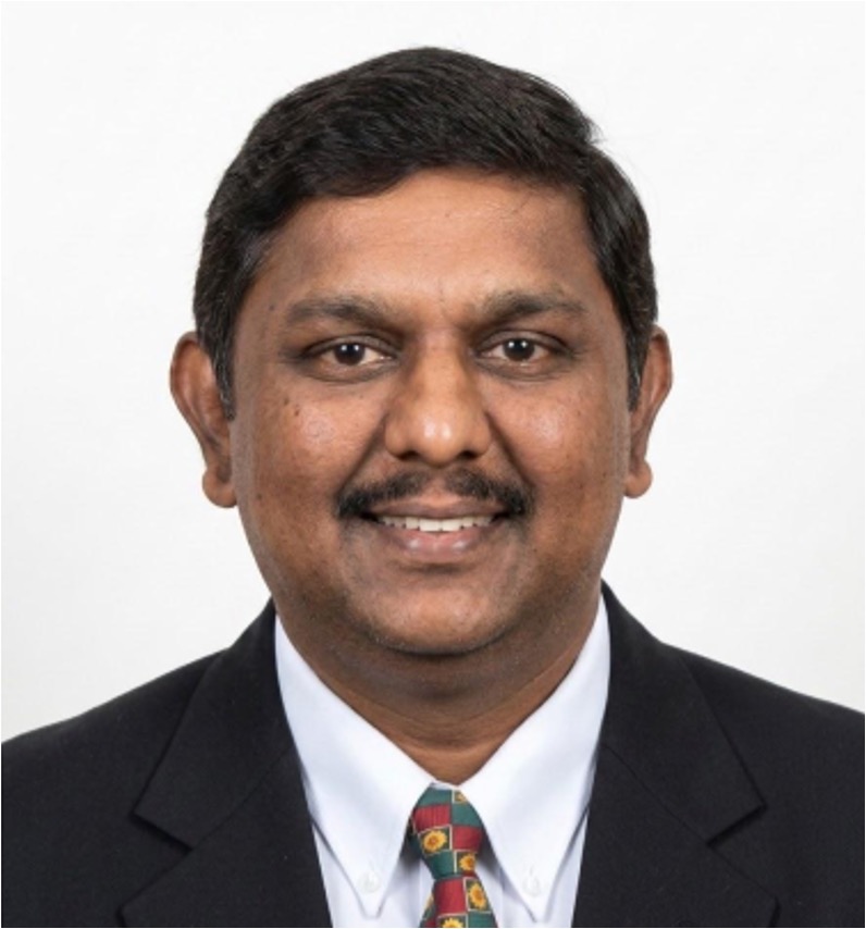 Prof. Ir. Ts. Dr. Shreeshivadasan A/L Chelliapan